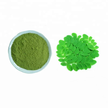 Factory direct organic high purity Moringa oleifera leaf powder Moringa oleifera leaf extract